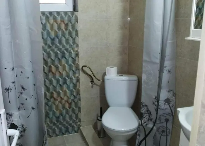 Hostel Pensiunea Mary *